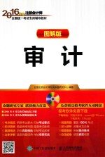 审计 图解版