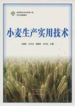 小麦生产实用技术