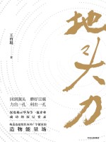 地头力 华为能量场