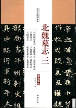 北魏墓志 3 司马显姿墓志·元灵曜墓志·元崇业墓志·元纂墓志·于仙姬墓志·杨乾墓志·元昉墓志·张黑女墓志·王偃墓志