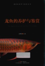 龙鱼的养护与鉴赏