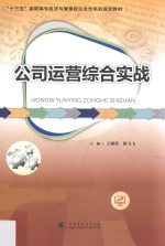 公司运营综合实战