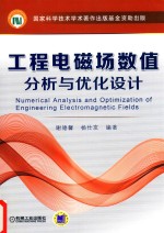 工程电磁场数值 分析与优化设计