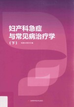 妇产科急症与常见病治疗学 下