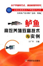 鲈鱼高效养殖致富技术与实例