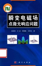 瞬变电磁场点微元响应问题