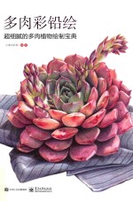 多肉彩铅绘 超细腻的多肉植物绘制宝典 全彩版