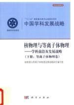 核物理与等离子体物理 学科前沿及发展战略 下 等离子体物理卷