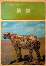 动物