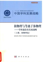 核物理与等离子体物理 学科前沿及发展战略 上 核物理卷