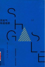 中国能源新战略 页岩气出版工程 页岩气构造地质