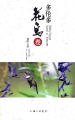 多伦多花鸟卷