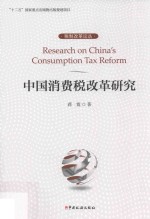 中国消费税改革研究
