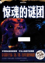 惊魂的谜团 超值全彩白金版