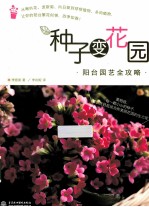 种子变花园 阳台园艺全攻略