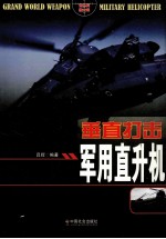 垂直打击 军用直升机