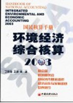 环境经济综合核算 2003