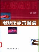 电烧伤手术图谱