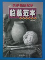 美术技法起步临摹范本 组合素描静物