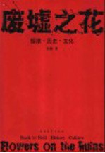 废墟之花 摇滚·历史·文化