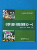 小城镇时尚庭院住宅 1