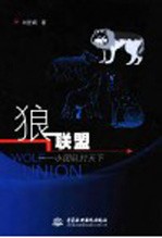 狼联盟 小团队打天下