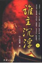 谁主沉浮 上