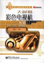 大屏幕彩色电视机电路原理与维修图说 长虹·乐华·新高路华