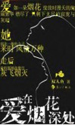爱在烟花深处