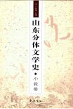 山东分体文学史 小说卷