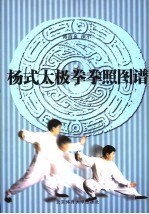 杨式太极拳拳照图谱