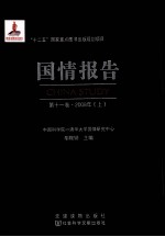 国情报告 第11卷 2008年 上