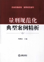 量刑规范化典型案例精析