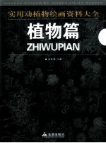 实用动植物绘画资料大全 植物篇