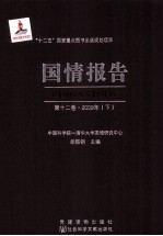 国情报告 第12卷 2009年 下