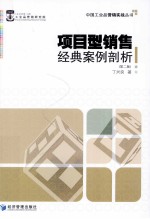 项目型销售经典案例剖析 第2版