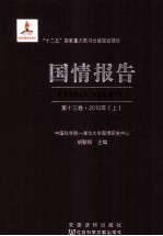 国情报告 第13卷 2010年 上