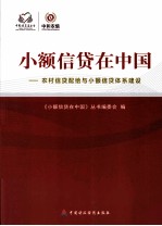 小额信贷在中国:农村信贷配给与小额信贷体系建设
