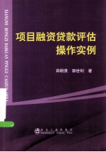 项目融资贷款评估操作实例