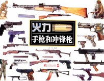 火力 手枪和冲锋枪