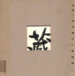 典藏 华文地产广告经典 下