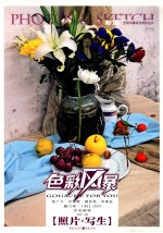 色彩风暴 色彩静物·照片写生