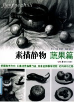 教学主题系列美术丛书 素描静物 蔬果篇