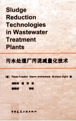 污水处理厂污泥减量化技术