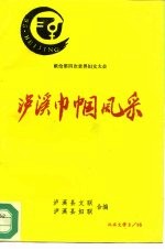 献给第四次世界妇女大会 泸溪巾帼风采