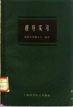 程序实习 试用本