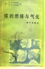 煤的燃烧与气化