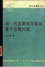 杨-巴克斯特方程和量子包络代数
