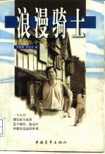 浪漫骑士 记忆王小波