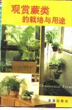 观赏蕨类的栽培与用途